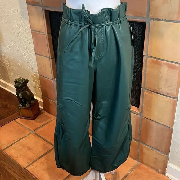 Pilcro for Anthropologie Dark Green Faux Leather Soft Parachute Pants, LP! - Picture 2 of 10